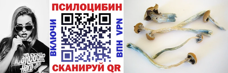 Галлюциногенные грибы прущие грибы  цена   Слободской 
